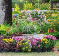 🌸 Premium 100 Flower Seeds Pack + FREE Plant Growth Booster! 🌱